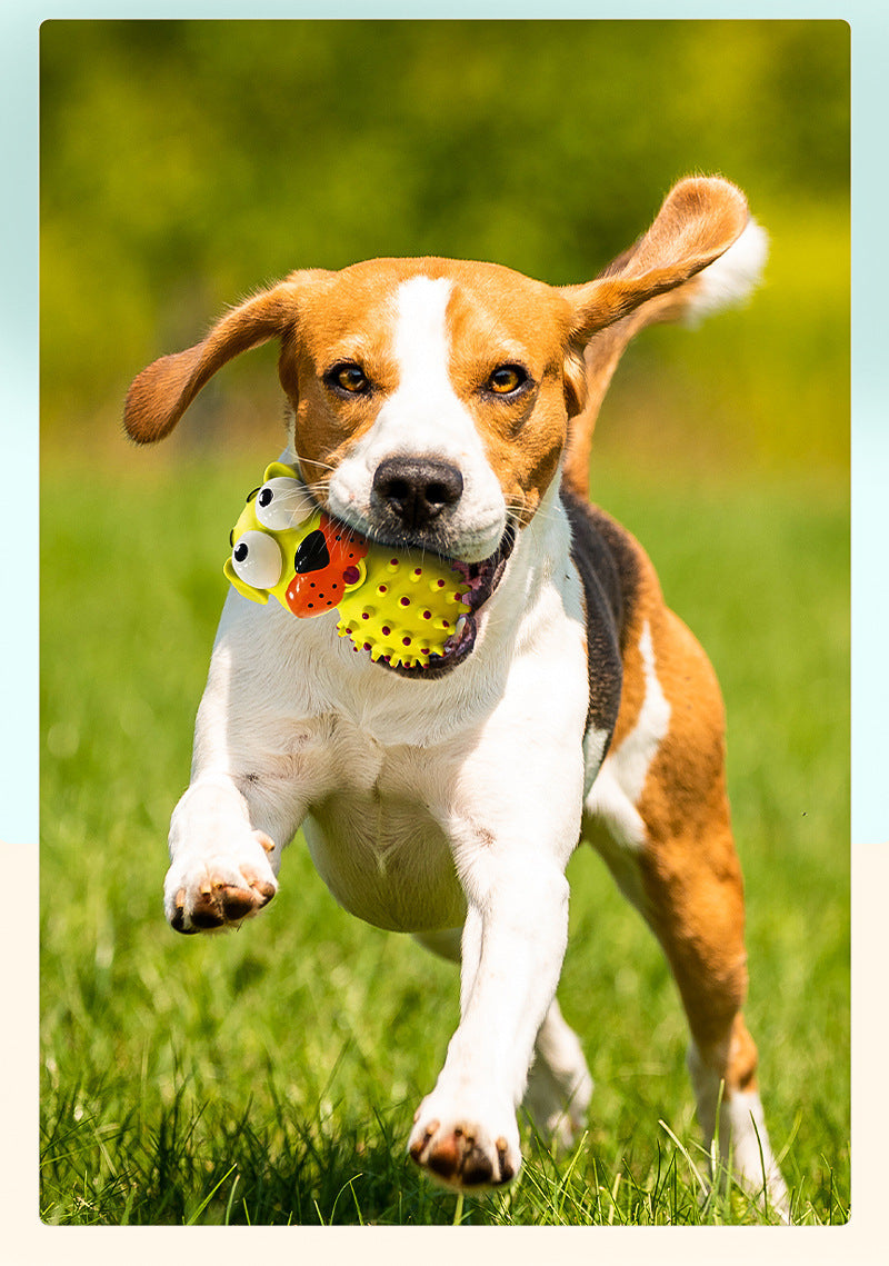 Fashionable Pet Stress Relief Educational Toy Vinyl